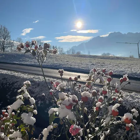 Schmid In Oberdrum شقة *