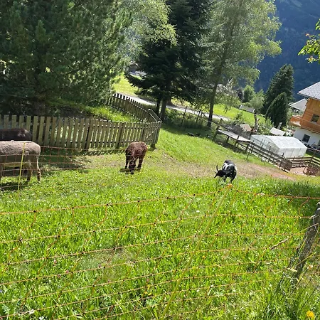 Schmid In Oberdrum