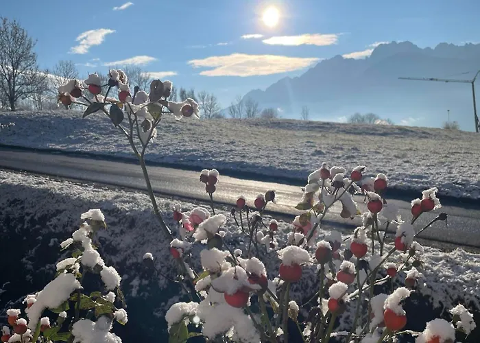 Schmied In Oberdrum 公寓 *