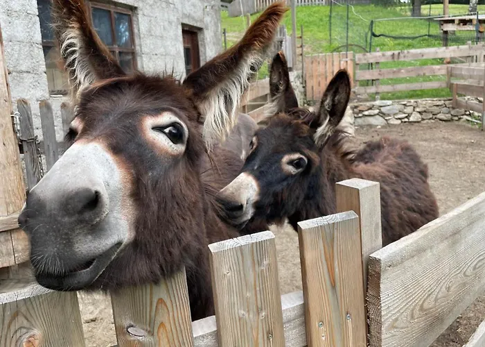 公寓 Schmied In Oberdrum *