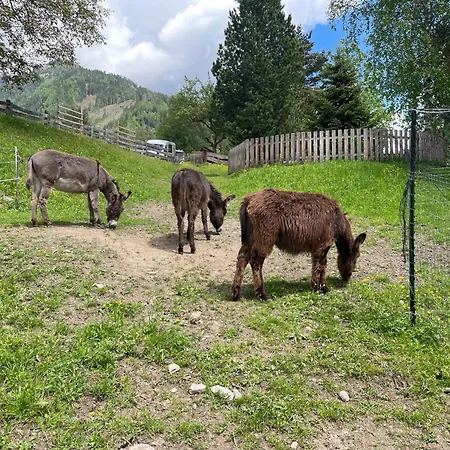 Appartement Schmied In Oberdrum Oberlienz
