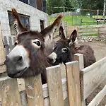 Lejlighed Schmied In Oberdrum *